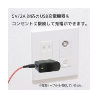 ブロードウォッチ ACーUSBアダプター DC5V/2A PSE認証済み AC-USB-2A 1個 69-8714-34（直送品）