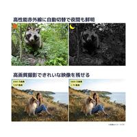 ブロードウォッチ 防水赤外線動感検知防犯トレイルカメラ SEC-WTIRTV-027K 1個 69-8572-97（直送品）