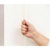 フルネス ロールスクリーン 幅60cm×高さ135cm グリーン 64-0914-06 1箱（直送品）