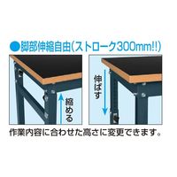 サカエ 高さ調整装置台(TDW/350kg/特殊アクリル系樹脂天板/H992~1292/固定式) TDW-1570BD 1台（直送品）
