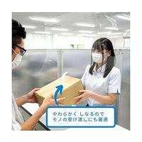 アズワン 吊り下げパーテーション Hタイプ H600×W1800 高透明PET樹脂 64-4048-49 1枚（直送品）