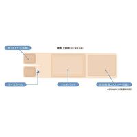 三進興産 ソルボフィットバンド 開張足用 M(24.0ー26.0cm) 63171 1個 7-9367-02（直送品）