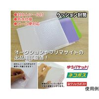 ブロードウォッチ クッション封筒 縦28×横22cm 1個(10枚入) CARGO-BUB-2822-10 1個(1枚)（直送品）