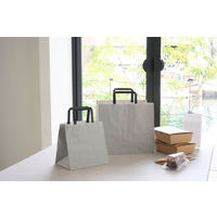 【紙手さげ袋】FLAT　エコアッシュ 300-1　アスクル限定カラーハンドル　1セット（100枚：25枚入×4） オリジナル