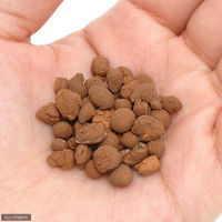 プラネット レカトン 中粒 1L ハイドロカルチャー用土 158329 1個（直送品）