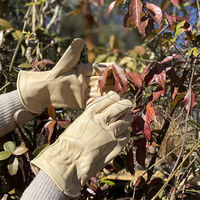 00555（直送品）