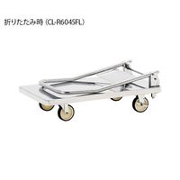 テックサス ハンドル折りたたみ式ステンレス台車 R加工 CL-R6045FL 1台 4-1964-01（直送品）