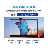 ブロードウォッチ 16インチ液晶モバイルモニター 解像度1920×1200 スピーカー内蔵 LCD-H160 1個 69-8714-19（直送品）