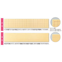 アーテック 設計用スチレンボード 50049 1セット(1枚×2)（直送品）