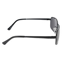 保土ヶ谷電子販売 キャプテンスタッグサングラス CS-001-1 1個（直送品）