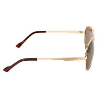 保土ヶ谷電子販売 キャプテンスタッグサングラス CS-003-2 1個（直送品）