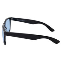 保土ヶ谷電子販売 キャプテンスタッグサングラス CS-011-2 1個（直送品）