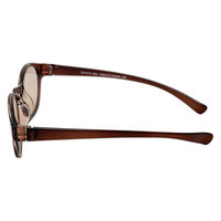 保土ヶ谷電子販売 キャプテンスタッグサングラス CS-013-2 1個（直送品）