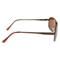 保土ヶ谷電子販売 キャプテンスタッグサングラス(偏光) CSP-003-2 1個（直送品）