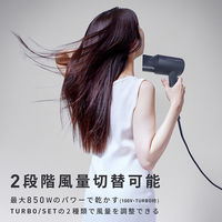 カシムラ マルチボルテージマイナスイオンヘアードライヤー TI-189 1台（直送品）