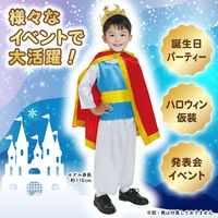 アーテック キッズコスプレ衣装 プリンス 19643 1包（直送品）