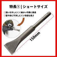 ビッグマン SDS短撃150 スケーリングチゼル SDPS-3 1本（直送品）