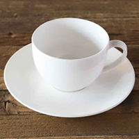 丸利玉樹利喜蔵商店 カップ&ソーサー 200ml 軽量強化磁器 fortemore フォルテモア 269524 1個（直送品）