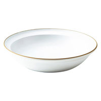 丸利玉樹利喜蔵商店 プレート 21cm エッジライン カレー&パスタ 陶器 食器 ホワイト 288131 1個（直送品）