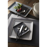 丸利玉樹利喜蔵商店 ランチョンマット 4枚セット 30×45cm エッジライン Edge Line グレー 327407 1個（直送品）