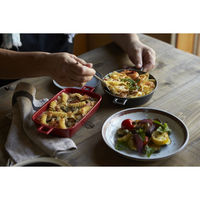 丸利玉樹利喜蔵商店 グラタン皿 20.5cm 持ち手付き ラウンド HINATA 皿 食器 洋食器 耐熱 陶器 グレー 343637 1個（直送品）