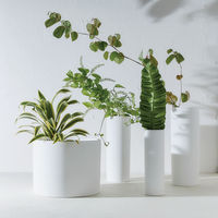 丸利玉樹利喜蔵商店 花瓶 AYA フラワーベース ロング L 陶器 ホワイト 409591 1個（直送品）