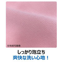 キクロン ボディータオル キクロンファイン シャスターふつうP 00797587 1ケース(60個(10個×6))（直送品）