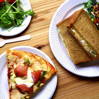 三和紙工 紙皿 スタンダードホワイト 8号 00801697 1ケース(1200個(100個×12))（直送品）