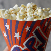 三和紙工 軽食容器 三角袋 ポップコーン 00804110 1ケース(2500個(100個×25))（直送品）