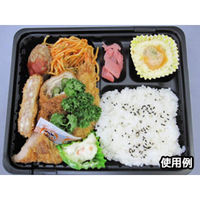 中央化学 CT ガチ弁 IK24-20E2 BK 身 弁当容器 33530 1袋(50個)（直送品）