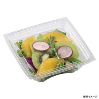 エフピコ サラダ容器 APスリムBOX 13-13(38) 本体 7R061313 1ケース(1600個(100個×16))（直送品）