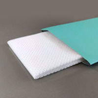 九州紙工 厚手おしぼり ミント W-30 1ケース(800個(50個×16))（直送品）