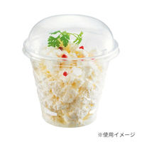 リスパック 透明カップ バイオ キラリス 101パイ390B キリコ PRTP010 1ケース(250個(25個×10))（直送品）