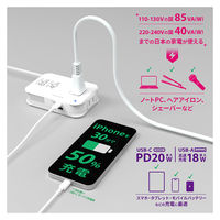 カシムラ 海外用薄型2口変圧器USB A+C PD20W WT-80M 1台（直送品）