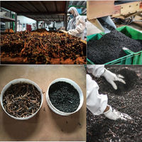 VALUE JAPAN 業務用セイロンティ D 茶葉 500g KANDY産 シングルオリジンティ 6300077008 1袋（直送品）