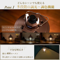 A-0007-Brown（直送品）