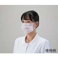 アズワン 2plyマスク フリーサイズ 50枚入 6-8647-11 1箱(50枚)（直送品）
