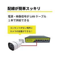 800万画素NVRーPoE有線タイプ カメラ1台 録画機(1TB)モニター付き 防犯カメラセット SEC-N-1K-16L-1T 1セット（直送品）