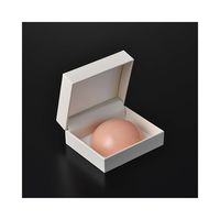 エクシール 乳がん触診モデル(しこりチェッカー) LC01-39001 1個 8-6669-11（直送品）