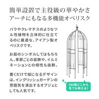 住まいスタイル アイアンハーフアーチ(オベリスクキット) IF-N0035BRZ 1台（直送品）