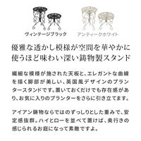 アイアン製プランタースタンド 脚付き ハイロー2個セット deacor デーコル IF-N003839-2P-BLK（直送品）