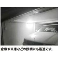 富士倉 ベーシックライトコード付120cm BL-120M3 1台