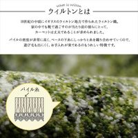 イケヒコ ガイア 玄関マット 500×800mm グリーン 1311050011701 1枚（直送品）