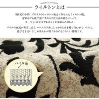 イケヒコ・コーポレーション ネム 玄関マット BE 50×80cm 1311320000000 1枚