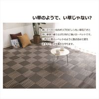 イケヒコ・コーポレーション ウィード PP BR 本間2畳 1090280000000 1枚