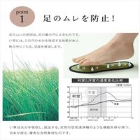 イケヒコ・コーポレーション い草インソール NV 29cm 1120290190420 1セット（直送品）