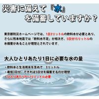 【10年保存水】 ジャパン・ミネラル ミネラルウォーター「カムイワッカ麗水500ml」24本セット 10001365 1箱（24本入）