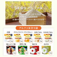 【非常食】ピースアップ 3人用/3日分(27食)非常食セット 10001682 1セット