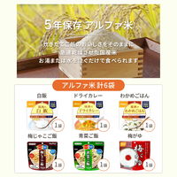 【非常食】ピースアップ 2人用/3日分(18食)非常食セット 10001684 1セット