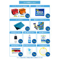 【デラックス】熱中症対策キットDX (オレンジ) クーラーバッグに入った応急処置セット(水分補給/塩分/保存水/防災/非常用)（直送品）